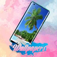 Palm Tree Wallpaper Images screenshot 3