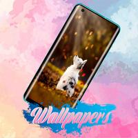 Puppy Wallpaper Images 截圖 1