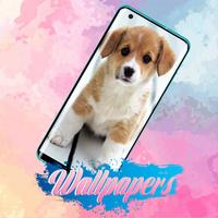 Puppy Wallpaper Images 截圖 2