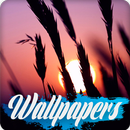 Sunset Wallpaper Images APK