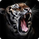 Tiger Sounds Ringtone APK