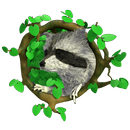Raccoon vs Dog APK