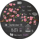BFF116 - Blackboard Art Sakura APK