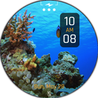BFF13-Animation Tropical Fish أيقونة