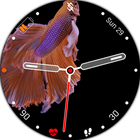 BFF24 - Animation Siames Fish أيقونة