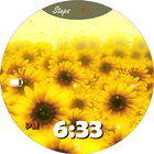 BFF38- Animation Sunflower أيقونة