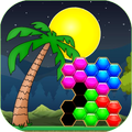 Palm Hexagon Block Puzzle – hexa puzzle game
