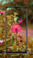 Redmi 9c screenshot 2