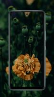 Infinix note 11s wallpaper bài đăng