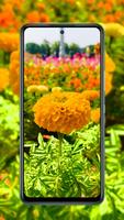 Infinix note 11s wallpaper ảnh chụp màn hình 2