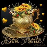Boa Noite скриншот 3