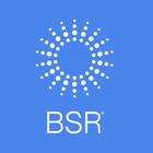 BSR 2019 アイコン