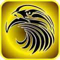 Draw a logo (Tribal)