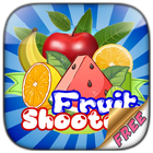 Fruit Bubble Shooter icon