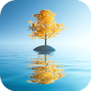 Background Wallpaper HD APK