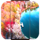 Background Wallpapers HD APK