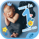 Baby Boy Monthly Milestone Stickers APK