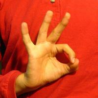 Sign Language For Beginners capture d'écran 2