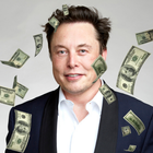Spend Elon Musk' Money иконка