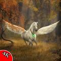 Horse Wallpapers HD 4K