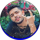 Pedro Sampaio Music Offline icon