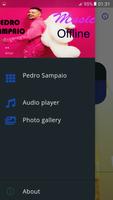 Pedro Sampaio Music Offline скриншот 1