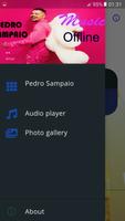 Pedro Sampaio Music Offline screenshot 1
