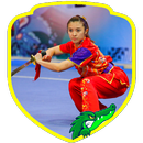 Wushu Training (Guide) APK