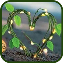 كتاب صحبة الجنة لمحمد عطية APK