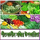শীতকালীন শাক-সবজির উপকারিতা icon