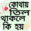 তিল বিশ্লেষণ