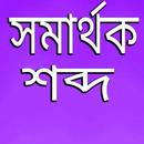 APK সমার্থক শব্দ