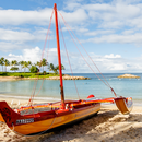 Hawaii Beach Views Wallpaper APK