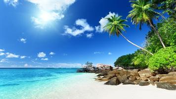 Hawaii Beach Views Wallpaper ảnh chụp màn hình 3