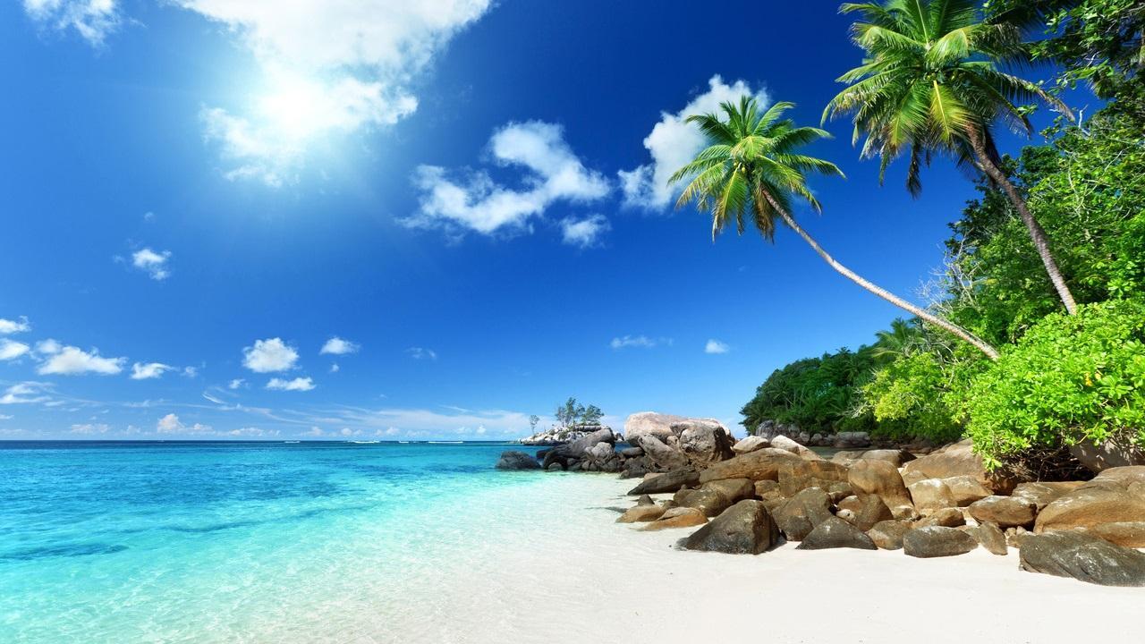 Featured image of post Hawaii Beach Background For Teams