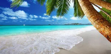 Beach Live Wallpaper