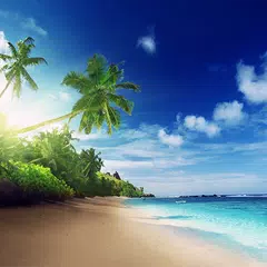 Beach Live Wallpaper XAPK download