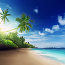 Beach Live Wallpaper APK