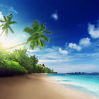 Beach Live Wallpaper-icoon