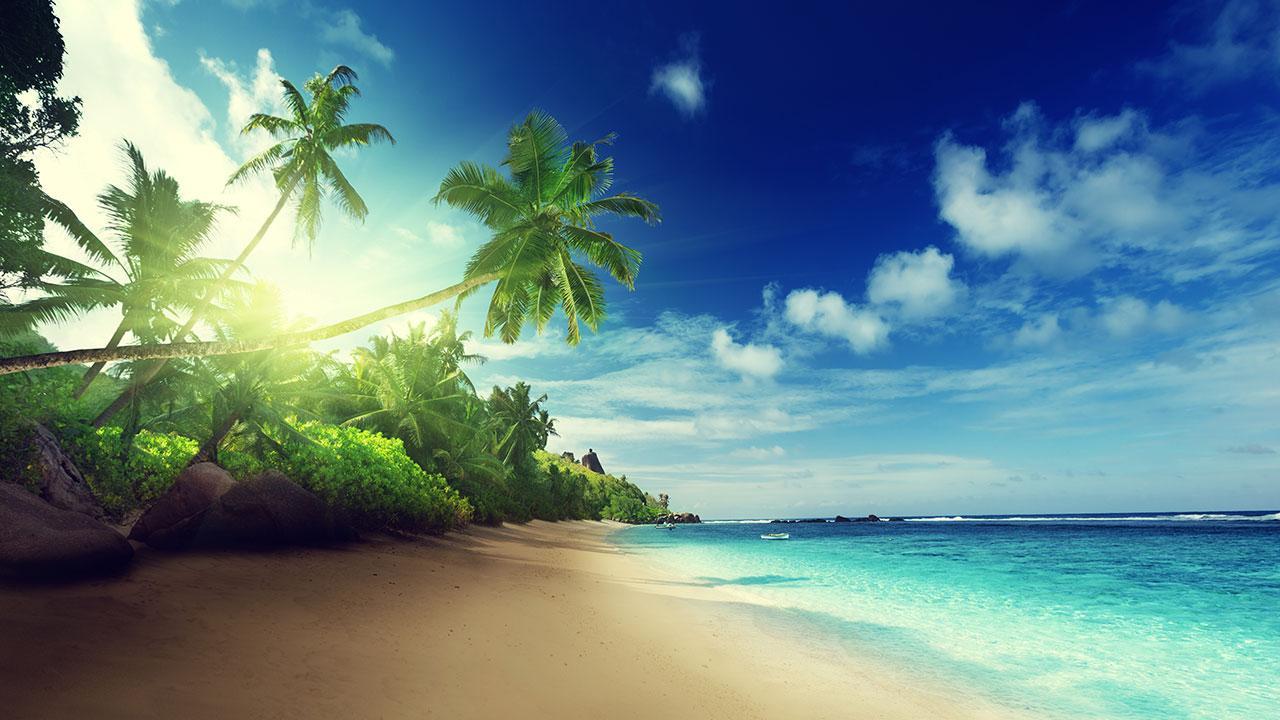 Beach Live Wallpaper for Android APK Download Beach Live Wallpaper for Android APK Download