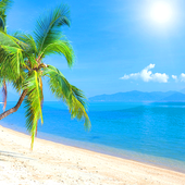 Unduh 400 Background Keren Pantai HD Terbaik