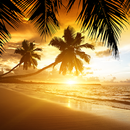 Beach Sunset Live Wallpaper APK