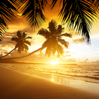 Beach Sunset Live Wallpaper icône