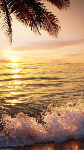 Sunset Di Pantai For Android Apk Download