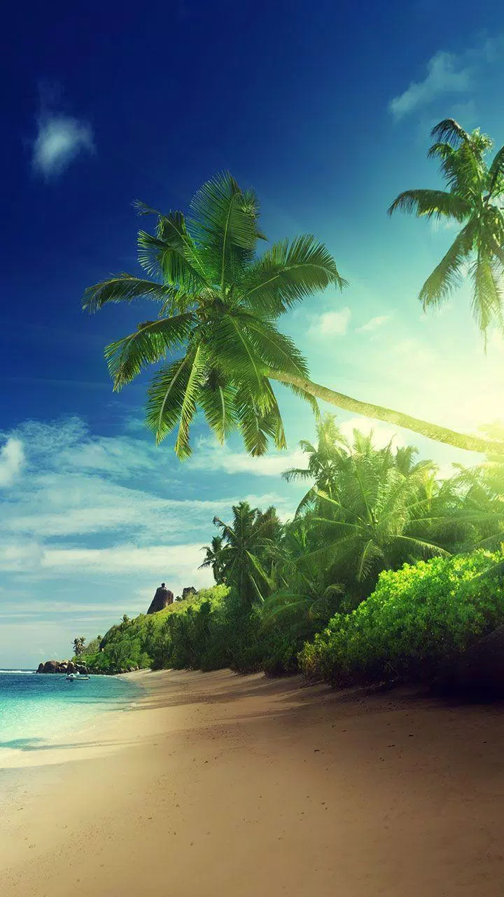 Biển hoàng hôn là một trong những khung cảnh thiên nhiên đẹp nhất người ta từng thấy. Với ứng dụng hình nền động hoàng hôn biển cho Android, bạn có thể tận hưởng vẻ đẹp đó ngay trên màn hình điện thoại của mình. Với chất lượng hình ảnh tuyệt vời, bạn sẽ cảm thấy như đang ngồi trên bãi biển đang chất chứa ánh nắng cuối cùng của một ngày.