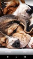 Beagle Live Wallpaper ภาพหน้าจอ 3