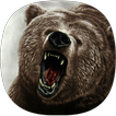 Bear Sounds