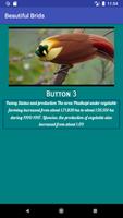 Beautiful Brids ảnh chụp màn hình 1