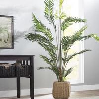 برنامه‌نما Beautiful Interior Plants Ideas عکس از صفحه