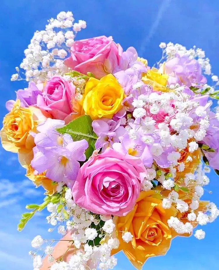 Beautiful Flowers and Roses Images Wallpaper 4K APK pour Android Télécharger Beautiful Flowers and Roses Images Wallpaper 4K APK pour Android Télécharger